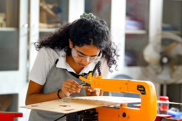 Robust and flexible curriculum